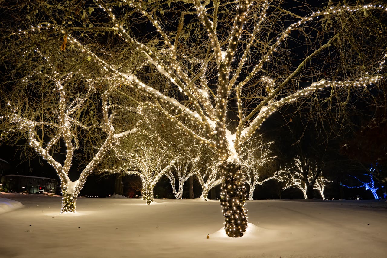 Do outdoor holiday lights increase your energy bills?