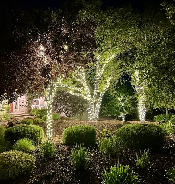 christmas lights installation on a house