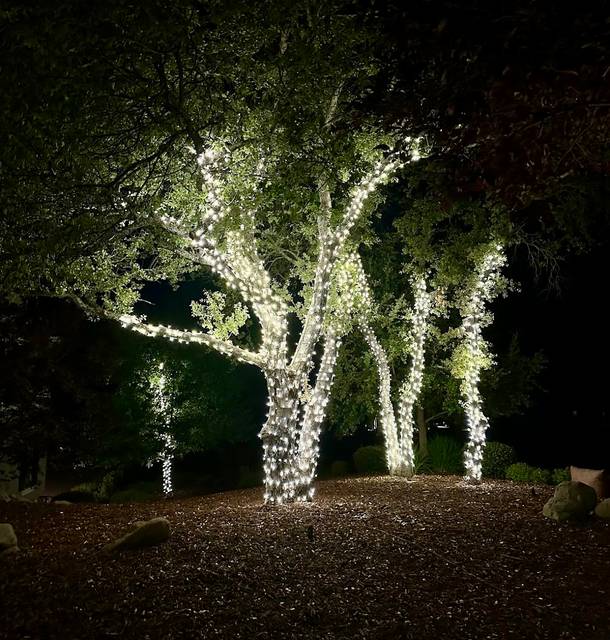 christmas lights installation on a house