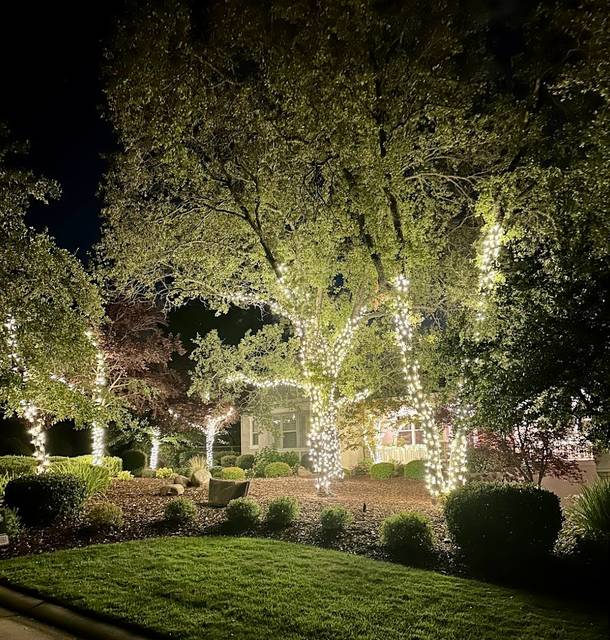 christmas lights installation on a house